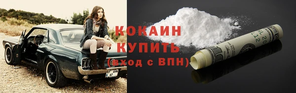 шишки Абинск