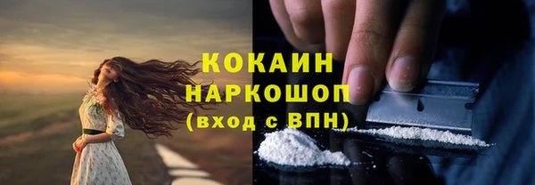 шишки Абинск