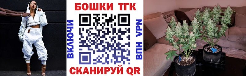 даркнет сайт  blacksprut   Бошки марихуана OG Kush  Алексин 